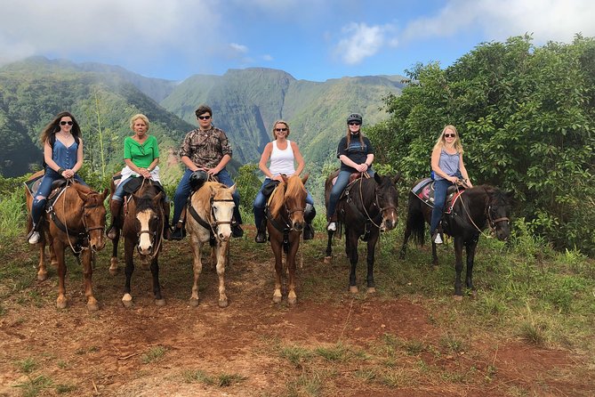 West Maui Mountain Waterfall and Ocean Tour via Horseback - Seasonal waterfalls from a distance
