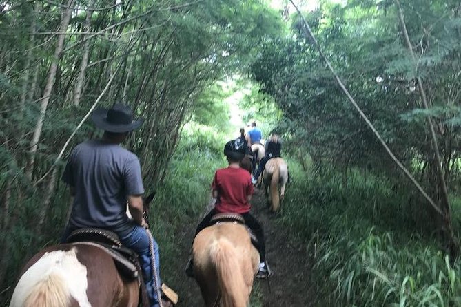 West Maui Mountain Waterfall and Ocean Tour via Horseback - Descending toward the Pacific