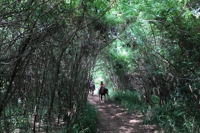 West Maui Mountain Waterfall and Ocean Tour via Horseback - The petting zoo adds a warm finish