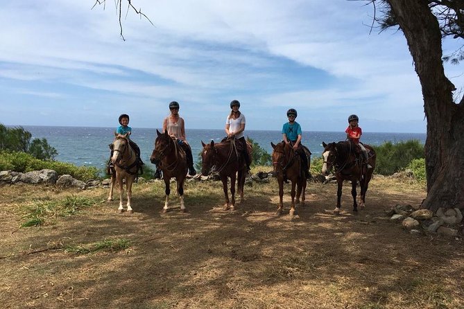 West Maui Mountain Waterfall and Ocean Tour via Horseback - Group size, guides, and the pace of the outing