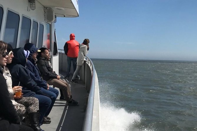 Whale and Dolphin Watching Cruise from Cape May - The value of the $45 price