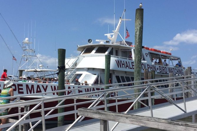 Whale and Dolphin Watching Cruise from Cape May - Practical details that can save your day