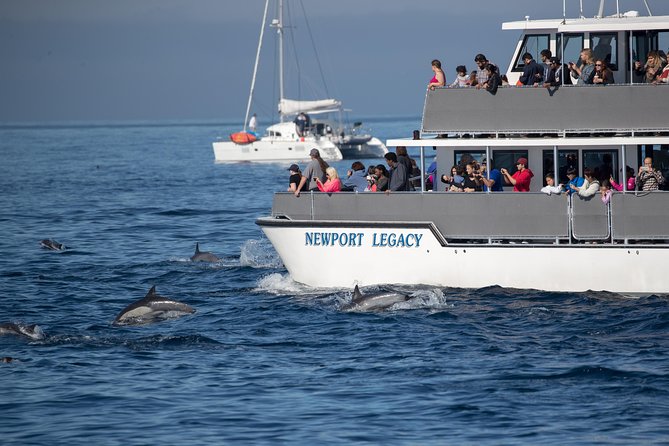 Whale-Watching Cruise from Newport Beach - Leaving Newport Harbor for the open Pacific