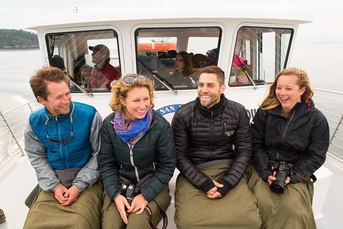 Whale Watching from Friday Harbor - The real value of the $135 price