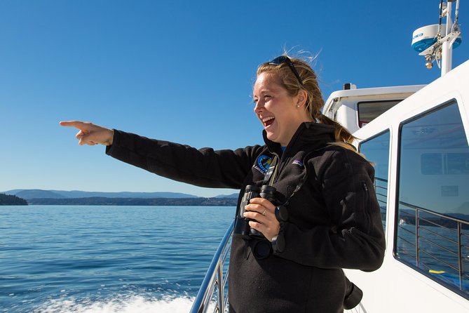 Whale Watching from Friday Harbor - How the whale search actually works
