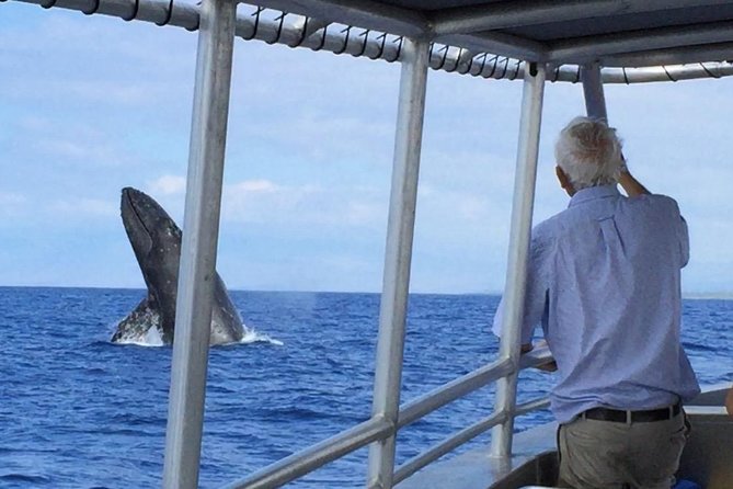 Whale Watching On The Big Island - Leaving Honokohau Marina for open water