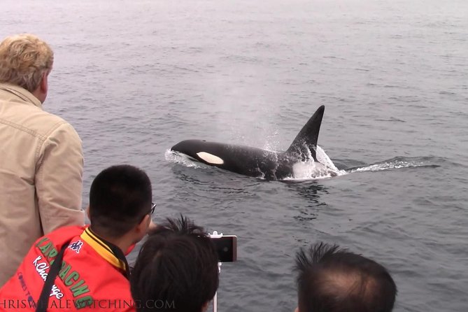 Whale Watching Tour - Who will enjoy this Monterey whale trip