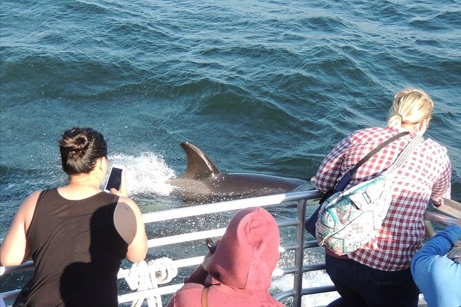 Whale Watching Tour from Anacortes - The Guides Make the Difference