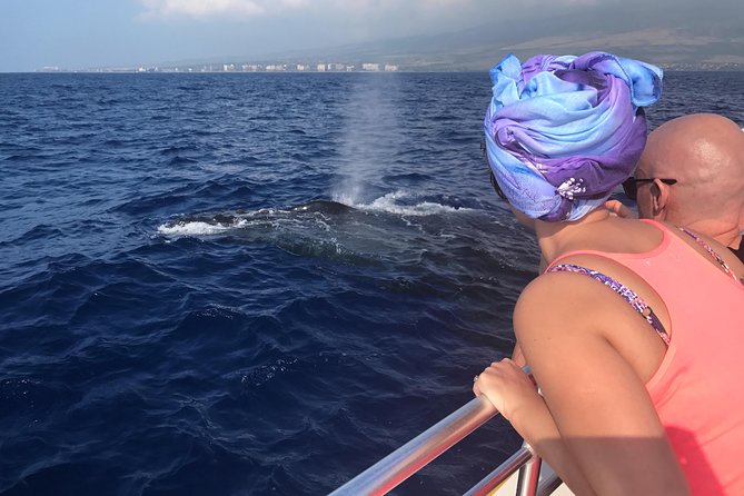 WHALES GUARANTEED Maui Whale Watching Makai Adventures - A Small Boat Built for Watching Whales