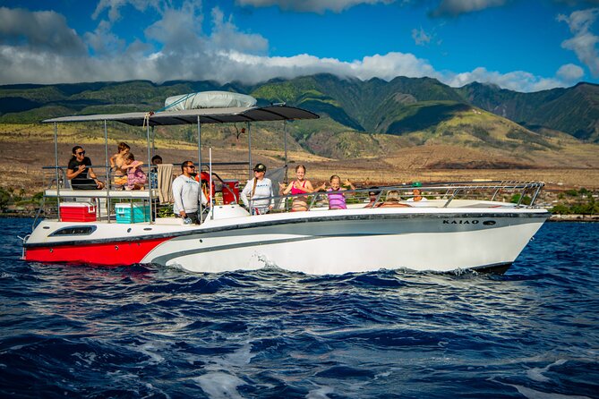 WHALES GUARANTEED Maui Whale Watching Makai Adventures - The Whale Encounters You Might See