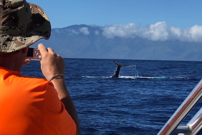 WHALES GUARANTEED Maui Whale Watching Makai Adventures - Who Will Get the Most from This Tour