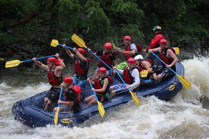 White Water Rafting Experience on the Upper Pigeon River - Upper Pigeon River rafting at a glance