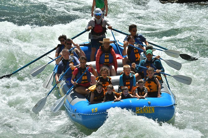 Whitewater Rafting in Jackson Hole : Family Standard Raft - Who should book this Jackson Hole rafting trip?