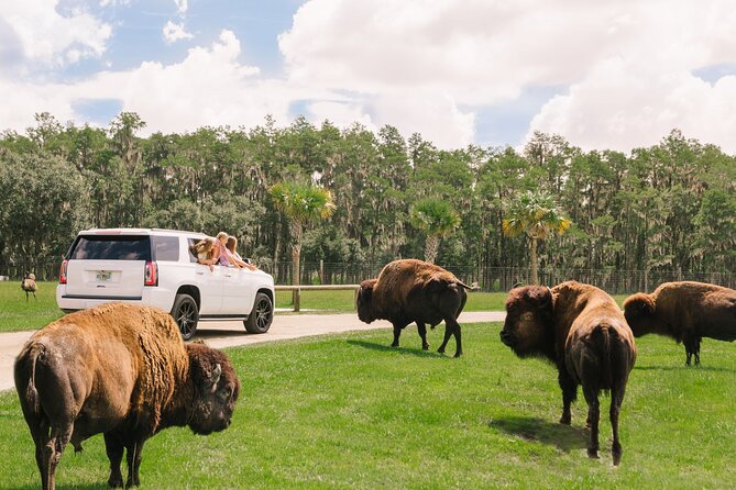 Wild Florida Drive-Thru Safari and Gator Park Admission - What you can see along the drive-through route
