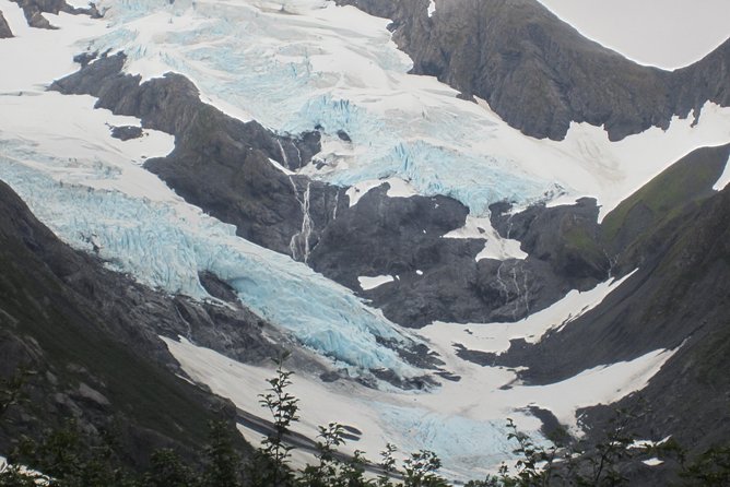 Wildlife and Glaciers with a walk in the Rainforest - One hour among Alaska’s rescued animals