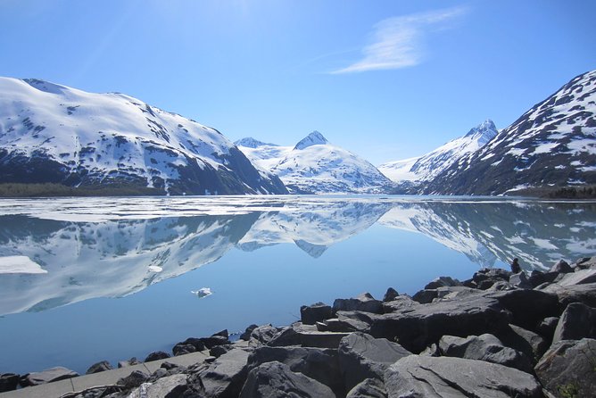 Wildlife and Glaciers with a walk in the Rainforest - Portage Valley, glaciers, and the short forest walk