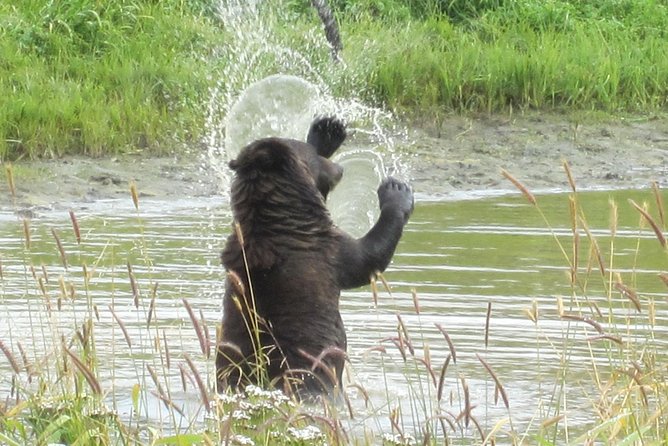 Wildlife and Glaciers with a walk in the Rainforest - Is $149 a fair price?