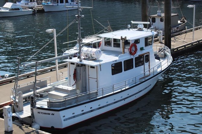 Wildlife Viewing, Sightseeing and Whale Watching Quest - Searching for humpbacks and orcas