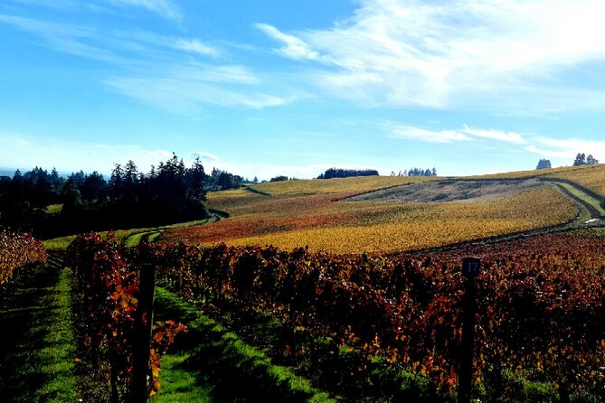 Willamette Valley Wine Tour with Lunch - Guides make the difference