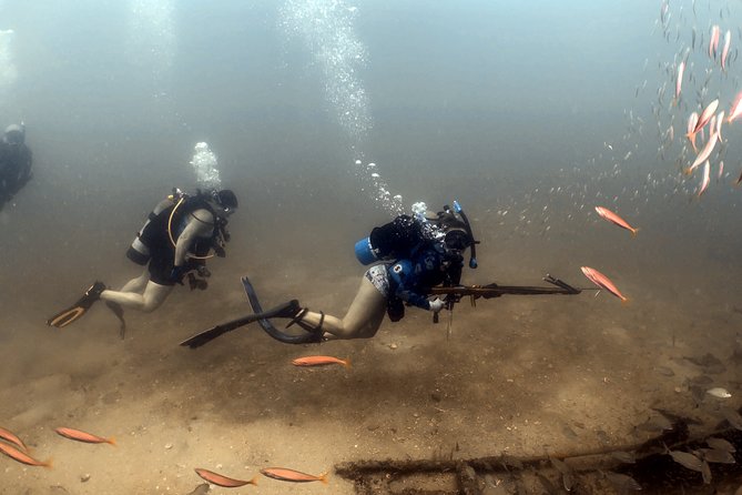 Wreck and Bridge Span Dive for Certified Divers - The bridge span adds a change of pace