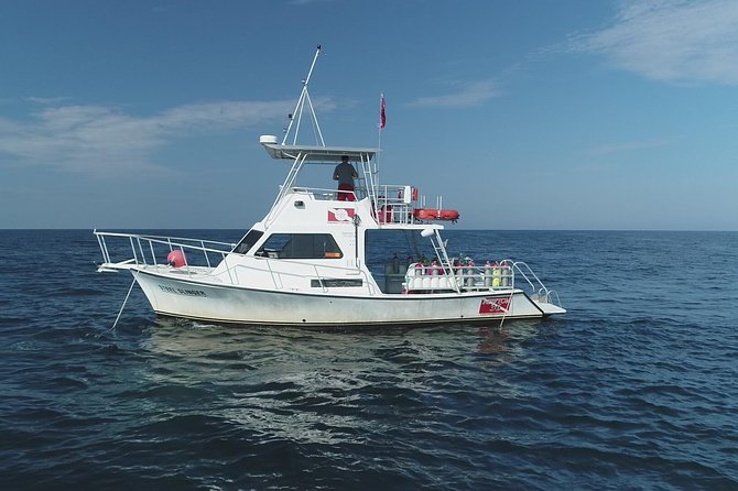 Wreck and Bridge Span Dive for Certified Divers - A safety-first crew helps you relax