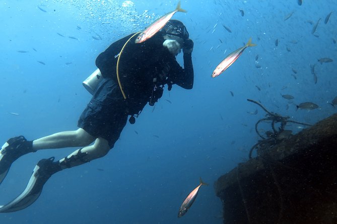 Wreck and Bridge Span Dive for Certified Divers - Group size, timing, and the small details that matter