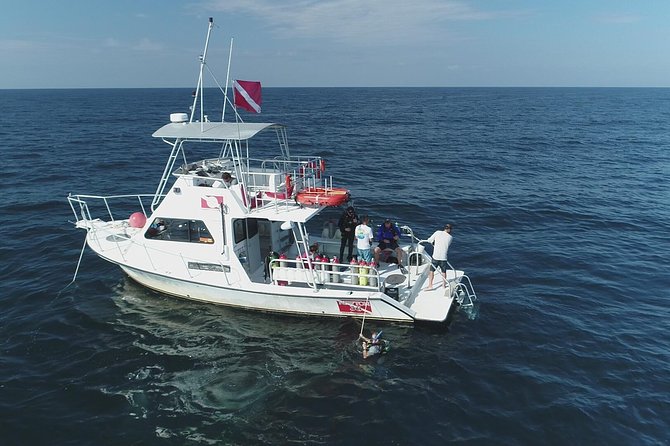 Wreck and Bridge Span Dive for Certified Divers - Why the shipwreck is the main attraction