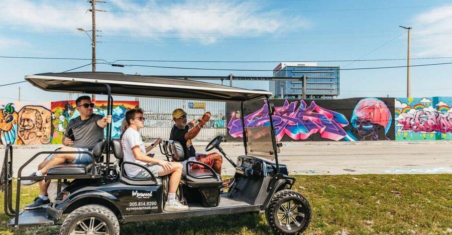 Wynwood Art District 1-Hour Street Art Tour by Golf Cart - The opening story: how Wynwood changed