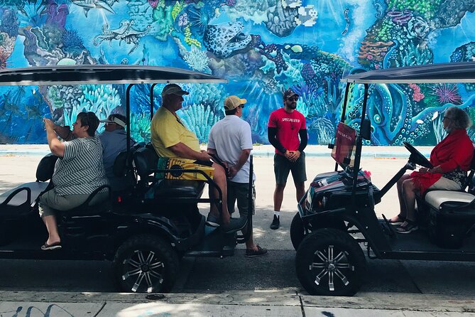 Wynwood Graffiti Golf Cart Small-Group Tour - Is $45 a fair price?