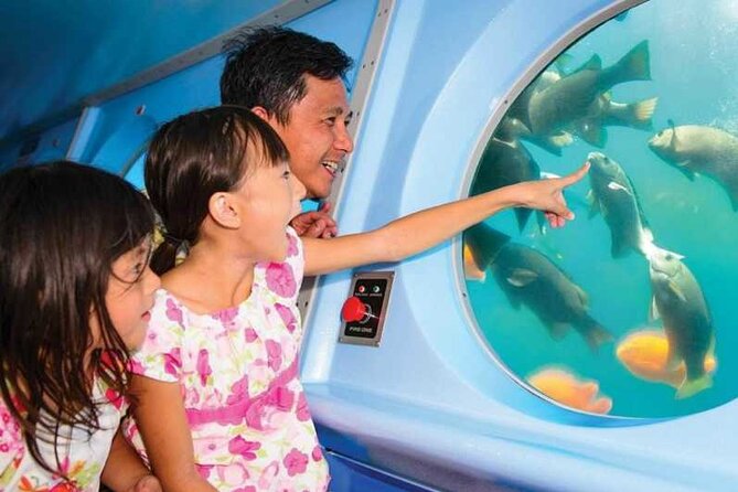 Yellow Semi-Submarine Tour of Catalina Island From Avalon - What the yellow submarine experience is really like