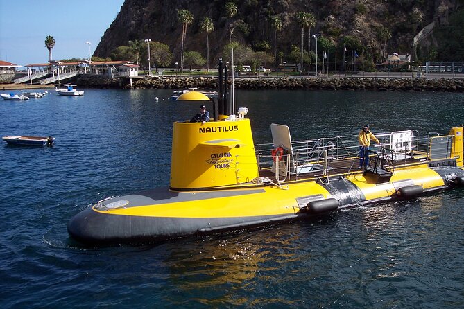 Yellow Semi-Submarine Tour of Catalina Island From Avalon - The three viewing stops and what to expect