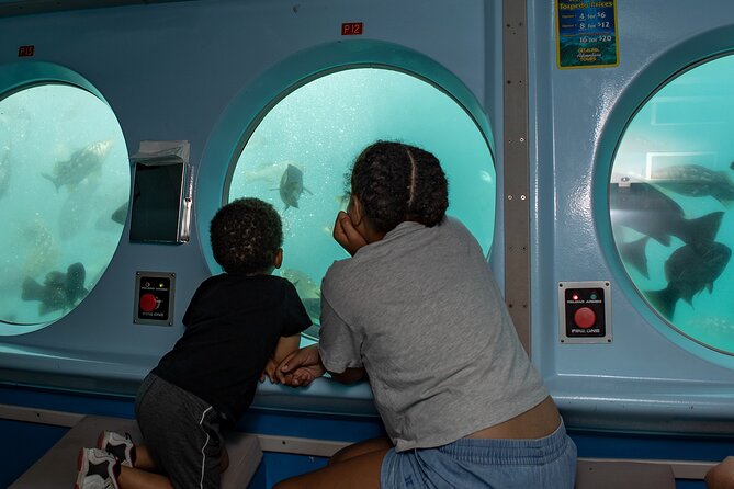 Yellow Semi-Submarine Tour of Catalina Island From Avalon - Timing your ferry and check-in