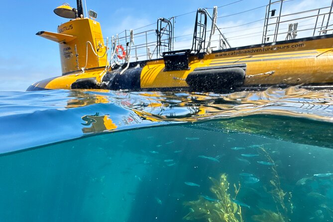 Yellow Semi-Submarine Tour of Catalina Island From Avalon - The extra fish-feeding option