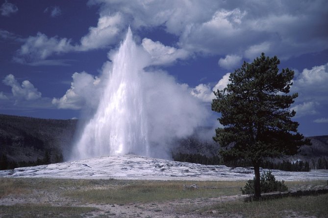Yellowstone Lower Loop Full-Day Tour - Hayden Valley and the search for wildlife