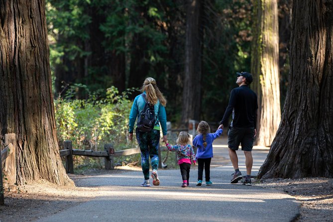 Yosemite Highlights & Giant Sequoias Day Tour from San Francisco - Why this Yosemite day trip works from San Francisco