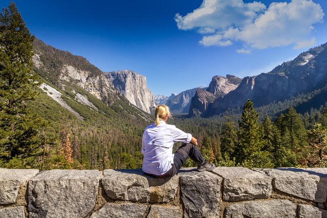Yosemite Highlights & Giant Sequoias Day Tour from San Francisco - Bridalveil Fall and the valley drive
