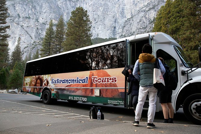 Yosemite Highlights & Giant Sequoias Day Tour from San Francisco - The Tuolumne Grove walk to giant sequoias