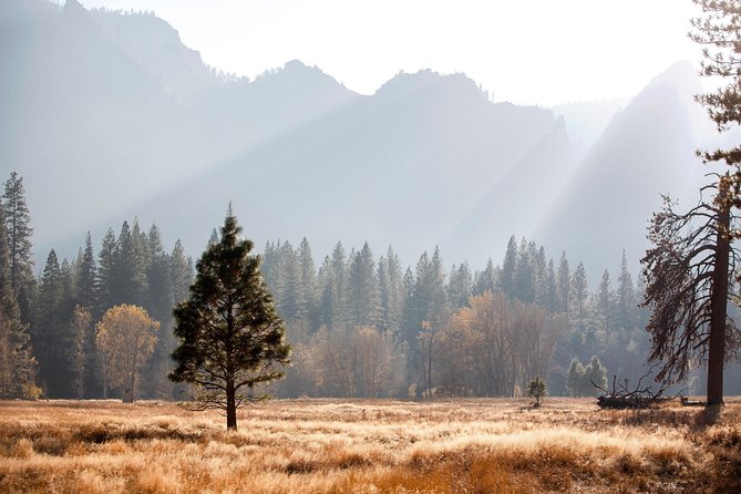 Yosemite Highlights & Giant Sequoias Day Tour from San Francisco - Before sunrise pickup and the road to Oakdale