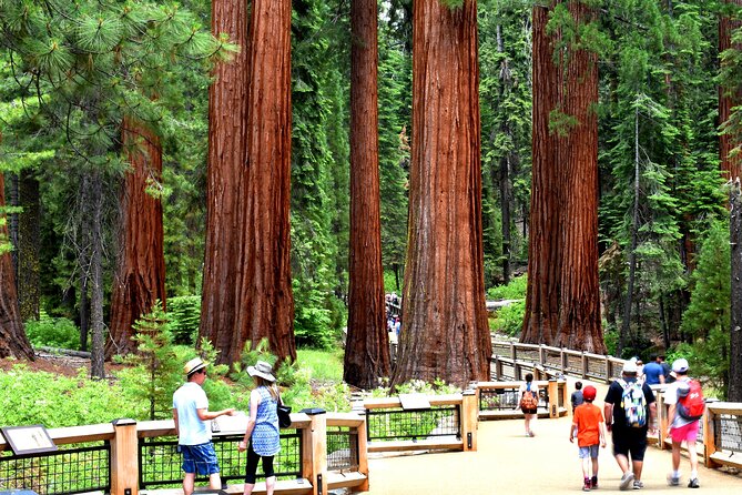 Yosemite Highlights Small Group Tour - Why this tour works well for a first Yosemite visit