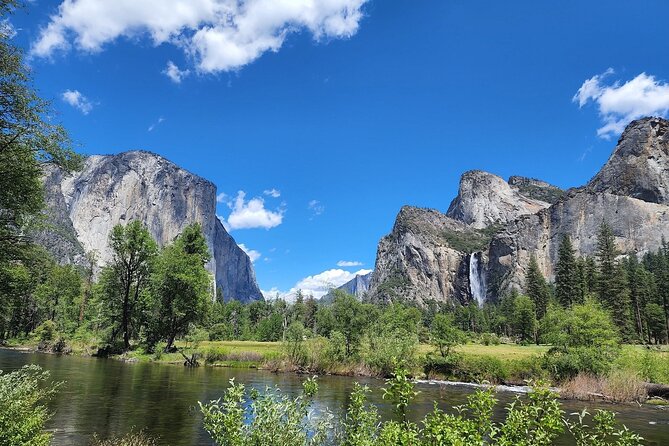 Yosemite Highlights Small Group Tour - Mariposa Grove adds giant sequoias