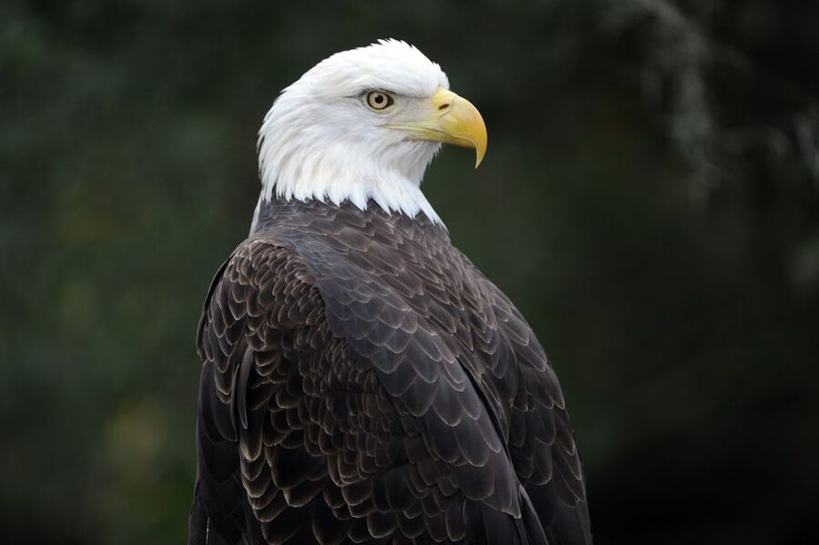 Zoo Miami: General Admission Ticket - What a day at Zoo Miami feels like