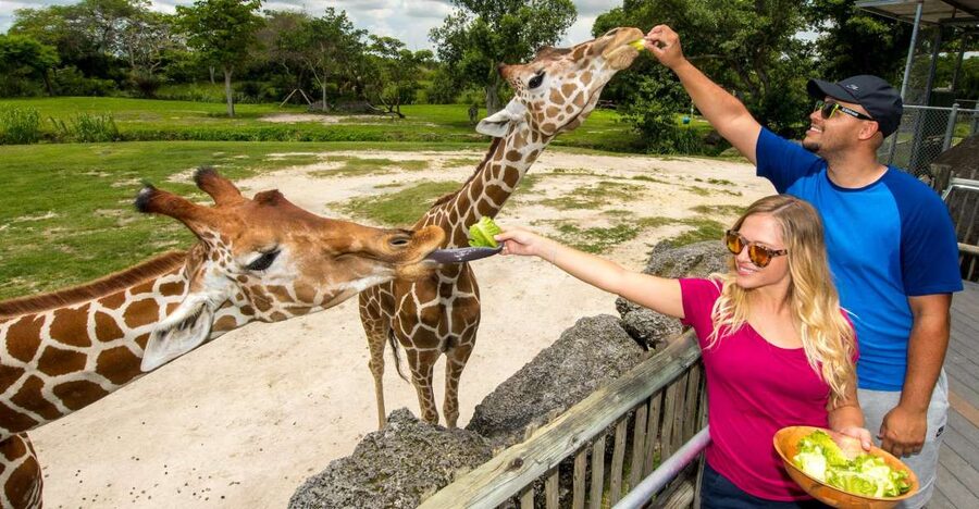 Zoo Miami: General Admission Ticket - Begin with Florida: Mission Everglades